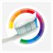 Colgate Toothpaste Total Plus Healthy White - 12x75ml Pack | Superior Teeth & Gums Protection - Buy Online on GoSupps.com