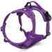 Buy Winhyepet TrueLove No-Pull Dog Harness - Reflective & Adjustable for All Sizes - TLH5651 S Purple - Buy Online on GoSupps.com