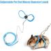 zhuangyulin 6 1PC Hamster Harness Rope Pet Hamster Harness Lovely Adjustable Pet Rat Mouse Hamster Harness Rope Ferret Finder Lead Leash with Bell Blue Small - Buy Online on GoSupps.com