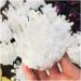 Crystal 500-800g Natural White Ghost Quartz Crystal Cluster Crystals raw Gemstone Specimen for Home&Office Decoration fengshui ERBDRGAZ (Size : 500-600g) - Buy Online on GoSupps.com