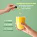 Herbs Vegan Toddler Multivitamin Liquid Drops for Overall Health Support - 30 Servings - Buy Online on GoSupps.com