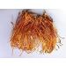 WENXUANSU:2 Pound (908 grams) Special fungus Cordyceps Flower from Yunnan China