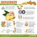 High Strength 1000mg Ginger Root Extract Tablets for Nausea & Joint Pain - 120 Count - Buy Online on GoSupps.com