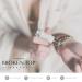 BROKEN TOP - Roll On Perfume | Essential Oil Perfume | Jojoba & Essential Oil Eau de Parfum | Natural Vegan (Coconut Sandalwood) - Buy Online on GoSupps.com