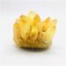 400g-700g Natural Yellow Phantom Quartz Stone Crystal Cluster for1pc Home furnishings Crystal Cluster (Size : 1PC 610G-700G) - Buy Online on GoSupps.com