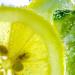Soft & Gentle Citrus Twist Anti-Perspirant Roll On Deodorant 100ml - Pack of 1 - Buy Online on GoSupps.com