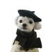 MuYaoPet Dog Cat Beret Wool Hat Headband French Artist Beanie Beret Pet Dog Christmas Costume Hair Accessory Photo Props (Black, One Size) Black One Size
