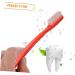 Magiclulu 10-Piece Super-Hard Bristle Toothbrush Set | Large Manual Toothbrushes for Deep Cleaning | Durable Plastic Small Teeth Cleaning Brushes - Buy Online on GoSupps.com