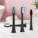 8Pcs Black Toothbrush Replacement Heads for Philips Sonicare Electric Toothbrushes - Buy Online on GoSupps.com