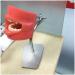 DYTAH Teeth Model - Dental Stomatology Training Head for Oral Hygiene | Healthcare Dentist Mold - Buy Online on GoSupps.com