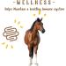 Buy Manna Pro Simply Flax for Horses - Omega-3 Flaxseed (8 lbs) | Premium Horse Supplement - Buy Online on GoSupps.com