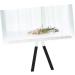 Angoily 1pc Eyebrow Drawing Tool Eyebrow Stencil Kit Eyebrow Ruler Template Balance Ruler Eyebrow Shape - Buy Online on GoSupps.com