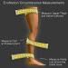 EvoNation Women's Knee-High Compression Socks 15-20 mmHg | Sheer Support Stockings for Travel & Everyday Comfort | X-Large Wide in Nude - Buy Online on GoSupps.com