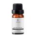 JCLOUD Luminous White Dew Essential Oil Inspired by Westin Hotel | Hotel Collection - Pure Aromatherapy Diffuser Oil with Orange and Lily of The Valley Home Luxury & Hotel Scents for Diffuser - 10mL Luminous White Dew Inspired by Westin Hotel
