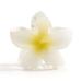 JOYOYO 4 Pcs Flower Hair Clips 3 Inch Medium Hair Claw Clips for Women Girls Matte Jaw Clilps Women Hair Clips Hibiscus Hair Clips Solid