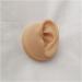 Silicone Ear Model - Simulation Human Ear Model - for Human Body Piercing Acupuncture and Moxibustion Ear Teaching Earrings Earrings Show Left - Buy Online on GoSupps.com