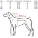 Ecent Winter Coat for Dogs - Warm Fleece Jacket for Cold Weather - Stylish Grey Winter Wear for Dogs - Buy Online on GoSupps.com