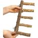 Natural Wood Bird Ladder Perch Cage Stand - Parrot Chew Toy for Small to Medium Pets - Buy Online on GoSupps.com