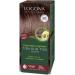 Logona Herbal Hair Color Powder 060 Nut Brown 33312 - Buy Online on GoSupps.com