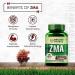 ZMA Nighttime Recovery Supplement - 120 Veg Tablets | Zinc + Magnesium Aspartate Formula - Buy Online on GoSupps.com