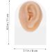 Piercing Tools Simulation Left Ear Model Display Prosthesis Mold Silica Gel Silicone Earring Mold for Body Art - Buy Online on GoSupps.com