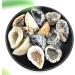Natural Agate Geode Crystal Hole Specimen Contains Clean Crystal Clusters Beautiful Stones and Crystals Agate Slice ERBDRGAZ - Buy Online on GoSupps.com
