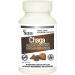 Sayan Siberian Chaga Mushroom Extract Capsules - 90 Wild Harvested 420mg Vegan Supplement for Immune Defense, Better Sleep, Stomach Health & Detox - Buy Online on GoSupps.com