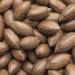 Pecan Nuts Halves Raw Natural Pecans Whole Nuts (1 KG) Pecan Nuts 1 KG - Buy Online on GoSupps.com
