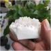 Natural Crystal Rough 150g Natural Agate Crystal Cluster Home Decor feng Shui Stones and Crystals Cluster StoneCrystal Crystal ERTEYIN - Buy Online on GoSupps.com