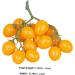 OUNONA Simulated Small Tomatoes Models Cherry Tomatoes Decor Photography Props Artificial Cherry Tomatoes Model Faux Fruit Decor Realistic Party Decor Foam Fake Fruit Window Yellow 4.00X2.00X2.00CM - Buy Online on GoSupps.com
