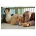 Philips Avent SCF080/07 Ultra Air Pacifier for Boys (6-18 Months) - Soothing & Safe Baby Pacifier - International Shipping Available - Buy Online on GoSupps.com