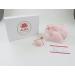 Premium Certified Rose Quartz Pink Roller & Gua Sha Set for Skin Care & Muscle Relaxation - Buy Online on GoSupps.com