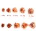 for Natural Orange Aragonite Quartz Crystal Rough Stone Cluster Nepheline SpecimenNatural Stones and Minerals Natural Luster (Color : Aragonite 35-50g Size : 5pcs) 5pcs Aragonite 35-50g - Buy Online on GoSupps.com