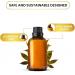 Carno Calm Cedarwood Essential Oil | 100% Pure & Natural Cedar Oil | for Hair Skin Focus Wood | Woody and Earthy Aroma for Clarity | Diffuser Fragrance Oil Soaps Candles | 30ml Cedarwood 30 ml (Pack of 1) - Buy Online on GoSupps.com