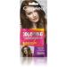 Cameleo - tinting shampoo - Dark Blonde - quick and simple color refreshment "Color in color" - without ammonia and oxidizing agent - shampoo in the bag - 40ml 6.0 Dark Blonde 40 ml (1 Pack)