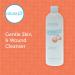 Anasept Antimicrobial Skin and Wound Cleanser 15 oz. Bottle - Professional-Grade Sterile Wound Cleaner for Hospitals - Buy Online on GoSupps.com