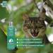 Menforsan Natural Repellent Shampoo for Cats 300 ml - Pack of 2 - Buy Online on GoSupps.com