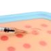 HINGONS Injection Training Pad - Skin-Like Intradermal Practice Model for Nurse & Medical Student - Buy Online on GoSupps.com