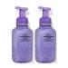 Bath & Body Works Blackberries & Basil Gentle Foaming Hand Soap 8.75 Ounce 2-Pack (Blackberries & Basil) 1.46 pounds 17.5 Ounce Blackberries & Basil 8.75 Ounce