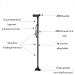 Adult Crutches Adjustable Crutches (85-97Cm) Five Adjustable Heights Non-Slip Foot Pads Durable Aluminum Alloy Material Crutches Hello Independence - Buy Online on GoSupps.com