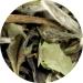  Lerbs & Hagedorn Lerbs & Hagedorn Yunnan Green Bud Chinese Green Tea | Full-bodied long-lasting sweet approx. 2 kg (162 litres) - Buy Online on GoSupps.com