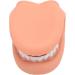 Mouth Hand Puppet - Educational Dental Care Model with Tongue for Children s Learning - Buy Online on GoSupps.com