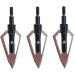 SHARROW 12 x Arrow Tips 2 Blades 100 Grit Arrow Heads with Broadheads Box for Crossbow and Carbon Arrows - Buy Online on GoSupps.com
