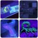 UV Flashlight - 51 LED Black Light for Amber Geocaching Pet Urine Detection & More - 395nm Ultraviolet Lamp - Buy Online on GoSupps.com