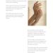 Beauty of Joseon Ginseng Cleansing Oil 210ml - Nourishing Korean Skincare - Buy Online on GoSupps.com