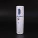 Jalzdieod 20X Steamer Nano Steamer Handy Mister Mist Moisture Face Sprayer Rechargeable Mini USB (White) - Buy Online on GoSupps.com