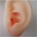 Soft Silicone Artificial Ear Model - Artificial Simulation Human Ear for Acupuncture Piercing Practice - Simulation Ear Model - for Ear Picking Practice Studs Earring Display Props B - Buy Online on GoSupps.com
