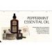 Abner Royce Essential Oil Since 1879 Heritage Collection Undiluted & Steam-Distilled for Home & Personal Use 60ml (Peppermint) - Buy Online on GoSupps.com