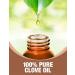 Ethereal Nature 100% Pure Clove Oil Aromatherapy Skin & Hair Care | 4 FL OZ - Shop Now - Buy Online on GoSupps.com
