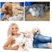 GSSFASHION Whelping Kit Delivery of Kitten and Puppy Whelping Kit with Feeding Nipple Stethoscope Aspirator Puppy ID Bands etc Complete Full Kit - Buy Online on GoSupps.com
